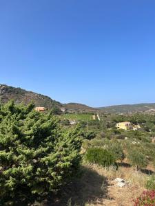 Vita di Campagna - Palau img14