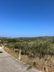 Vita di Campagna - Palau img22