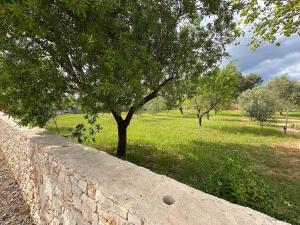 Tenuta Sillo - ground floor