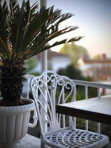 Palm Villa Büyükada