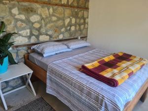 The house in the village