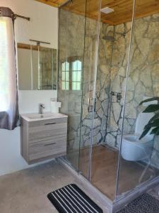 The house in the village