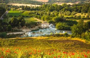 20 minuti dalle terme di Saturnia - Free Wi-Fi