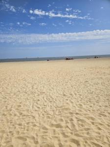 Tingdene caravan park north dene