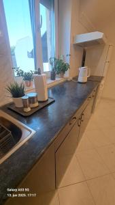 Apartman Pavle