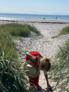 Charming cottage in lovely nature close to the sea