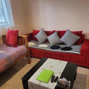 Herb studio in Casablanca (800 m from Casavoyageurs station)