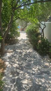 Olive Garden Apartments