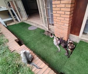 Cata Bed Breakfast Pet-friendly