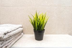 Apartments with parking space Mandre, Pag - 24492