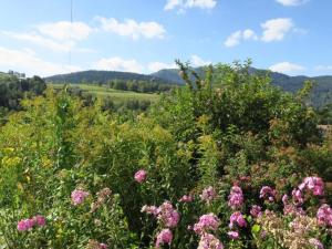 Chalets Chalet in Vosges near Rouge Gazon Ski Resort, cleaning included : photos des chambres