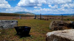 The Vet Shed, Riversdale