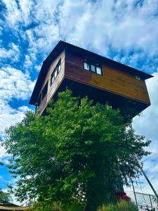 Trini Treehouse By GEstores