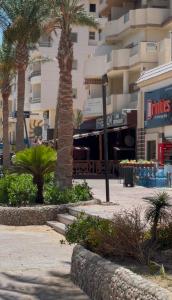 apartment for rent in hurghada