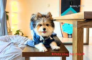 九十九里SURFテラス‹UMI›-寛道-