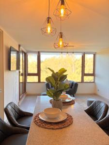 Moderno y exclusivo depto con vista a la laguna grande