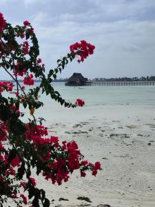 Malcom Ocean View Retreat