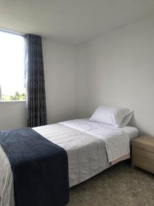 Nice and cozy apartment Bosa