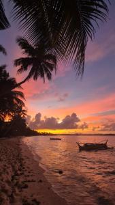 Fully Private, Beach Access, Native Cottage, Queen Bed, AC, WiFi