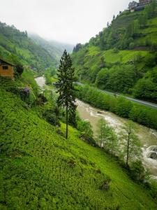 Sisorti bungalow otel