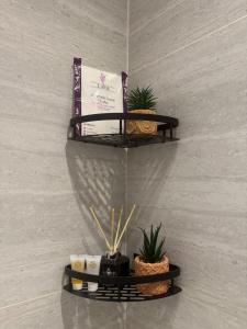 Studio with master bed and side seating