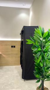 Studio with master bed and side seating