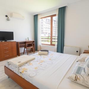 Sea Sirena with a Mountain View