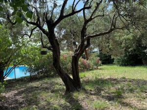 Villas Villa Fayence- pool, garden and AC : photos des chambres