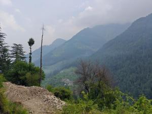 Seri Pyramid View Home Stay Jibhi