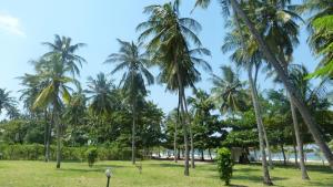 The Bird House, Diani