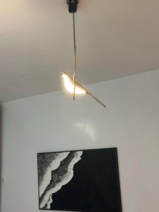 The Bird House, Diani