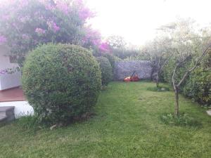 Villetta Bouganville img28