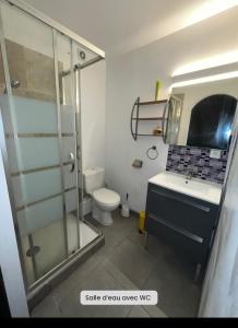 Grand appartement T2