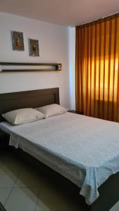 Vila Dini(La Rogojini)