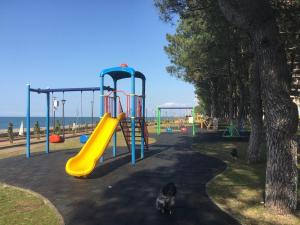 Magnificent apartment right on the shore