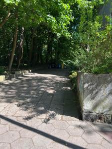 Apartament Narutowicza
