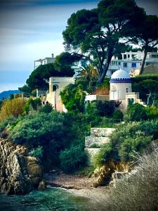 Appartements Stade Mayol : photos des chambres