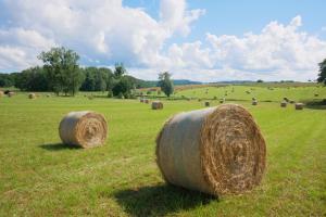Tentes de luxe Glamping La Jonquille : photos des chambres