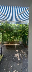 Casa con giardino in centro