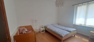 Casa con giardino in centro