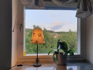 Cozy apt in 50s villa 10 min tram ride to city