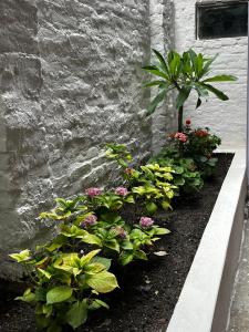 Service apartment in Kathmandu