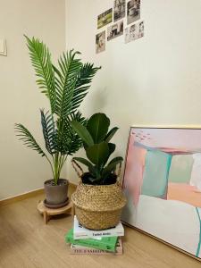 Modern Studio House- Gongdeok station 1min walk