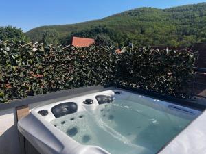 Appartements Le Rooftop du Schlossberg : photos des chambres