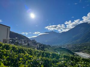 Charmante kleine ruhige Wohnung
