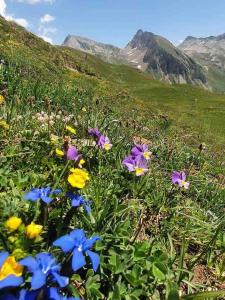 Charmante kleine ruhige Wohnung