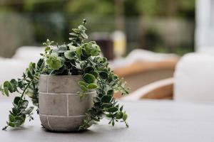 Berry Luxury Barn House