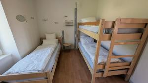 Maisons de vacances Grand Gite La Buissonniere : photos des chambres