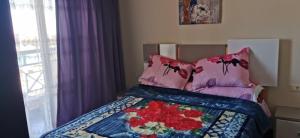 Hotel Apartment in Porto Sharm