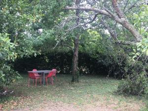 Appartements Port a pieds appartement lumineux et spacieux avec parking : photos des chambres